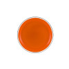 Dysk Latający Frisbee z Dinozaurem Pomarańczowy 20 Cm