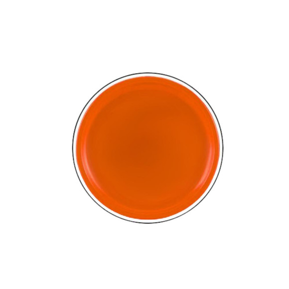 Dysk Latający Frisbee z Dinozaurem Pomarańczowy 20 Cm Dysk Latający Frisbee z Dinozaurem Pomarańczowy 20 Cm