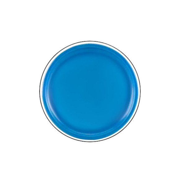 Dysk Latający Frisbee z Dinozaurem Niebieski 20 Cm Dysk Latający Frisbee z Dinozaurem Niebieski 20 Cm