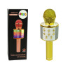 Mikrofon Bezprzewodowy USB Głośnik Nagrywanie Karaoke Model WS-858 Złoty
