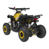 Pojazd Quad Spalinowy RENEGADE HIPERFECT 49CC Żółty