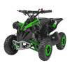 Pojazd Quad Spalinowy RENEGADE HIPERFECT 49CC Zielony