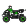 Pojazd Quad Spalinowy RENEGADE HIPERFECT 49CC Zielony