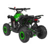 Pojazd Quad Spalinowy RENEGADE HIPERFECT 49CC Zielony
