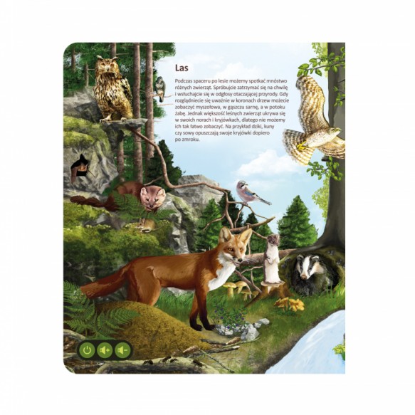 ALBI Książka Świat zwierząt