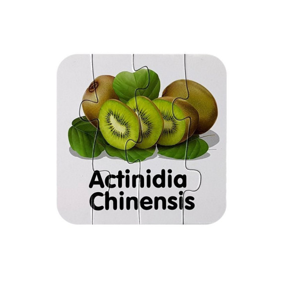 Puzzle Edukacyjne Układanka Owoce 10 Połączeń