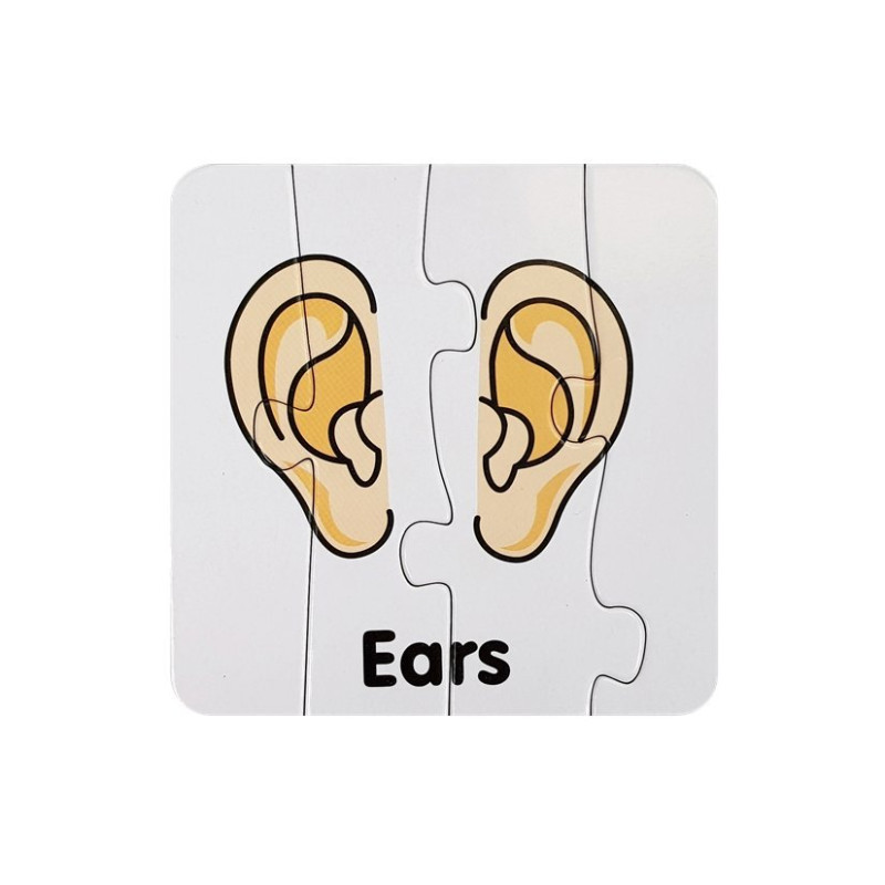 Puzzle Edukacyjne Układanka Części Ciała 10 Połączeń  Angielski