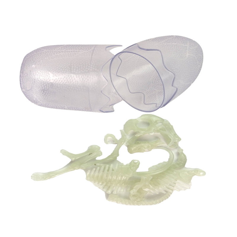 Świecący W Ciemności Szkielet 3D Dinozaury Mamut w Jajku