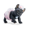 Piesek Lily Buldog Francuski Asi 0617240					