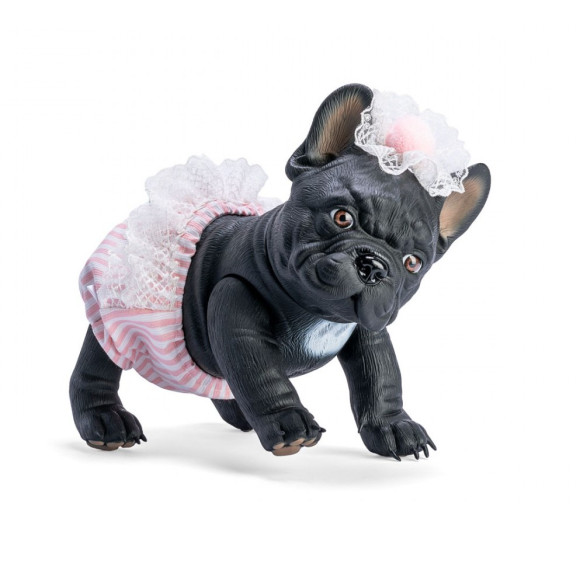 Piesek Lily Buldog Francuski Asi 0617240 Piesek Lily Buldog Francuski Asi 0617240